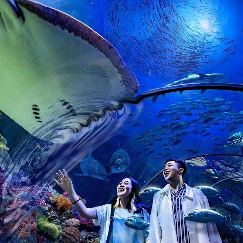 Sea World Ancol Ticket