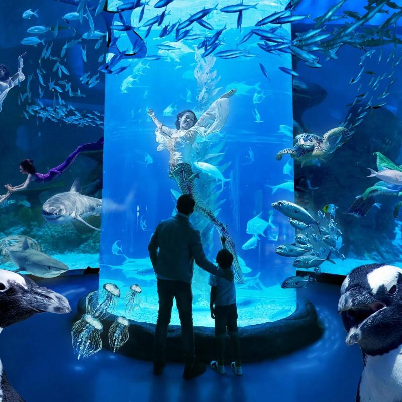 Jakarta AQuarium Safari photo 2